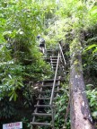 stairway on Bako